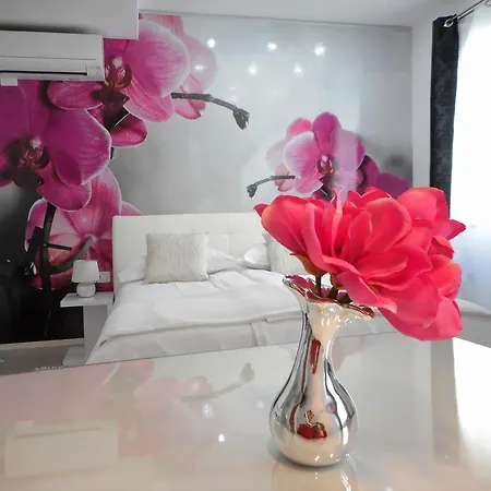 Apartment Palladium Center Makarska